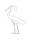 Egyptisk fågel